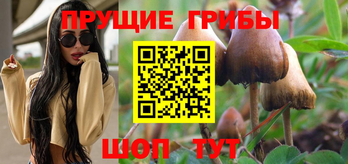 Галлюциногенные грибы Magic Shrooms Алушта