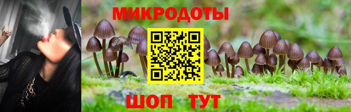 Псилоцибиновые грибы мухоморы  Вход с VPN  Псилоцибиновые грибы Cubensis  Алушта 