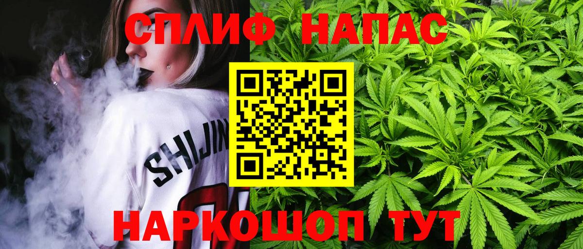 Конопля гибрид Алушта